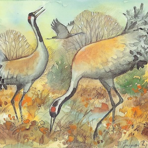 Postcard cranes