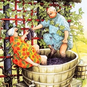 Collection old ladies - grape harvest