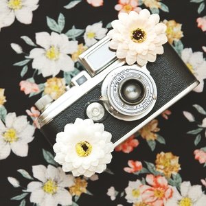 Postcard vintage camera and flowers