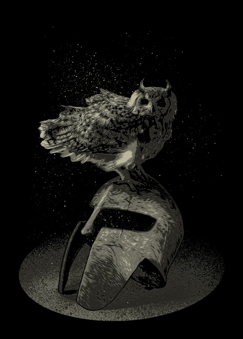 owl knight - picture 1