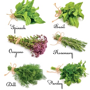 Postcard fresh herbs