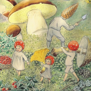 Collection children of the forest - mushrooming