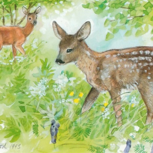 young deers - picture 1