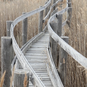 footbridge - picture 1