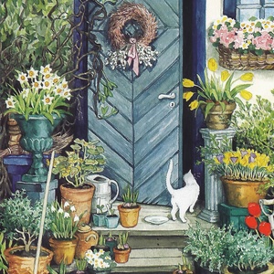 Postcard white cat by the door