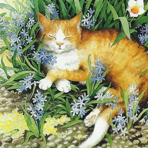 Postcard red cat and daffodils