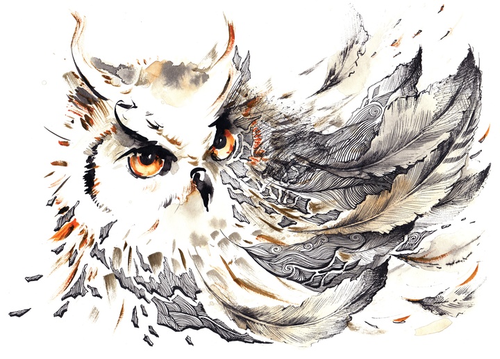 fantasy owl - picture 1