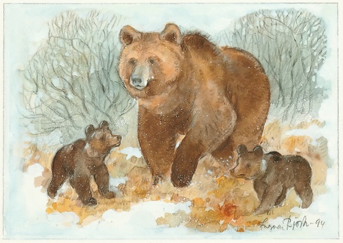 niedźwiedzica z młodymi - zdjęcie 1