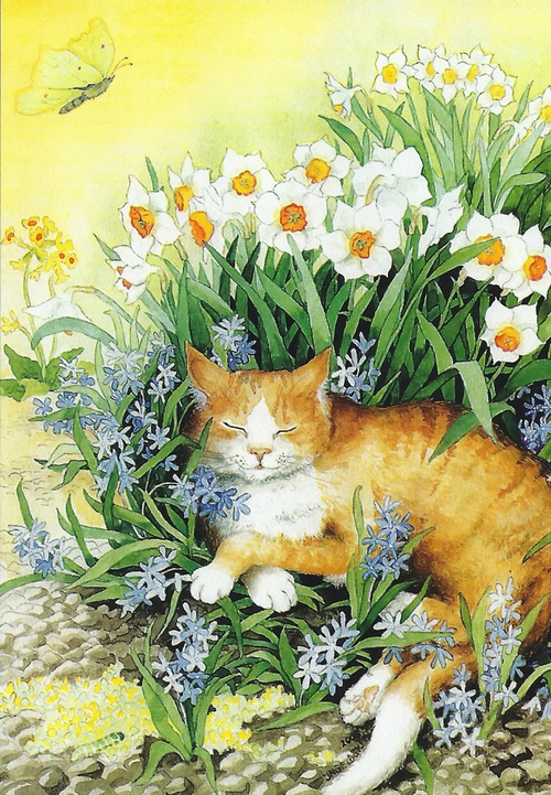 red cat and daffodils - picture 1