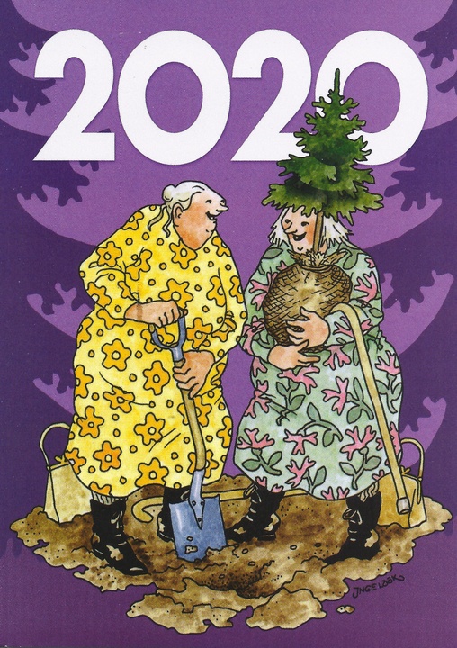year 2020 - picture 1