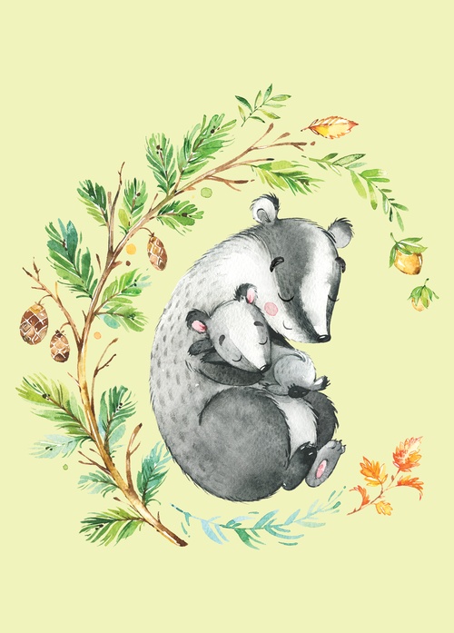 badgers - picture 1