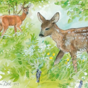 Postcard young deers