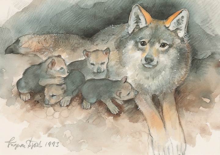 she-wolf with cubs - picture 1