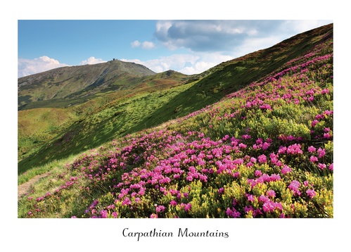 summer in carpathians - picture 1
