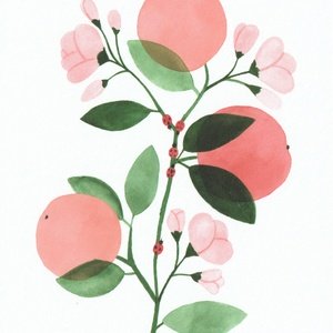 gałązka jabłoni - zdjęcie 1