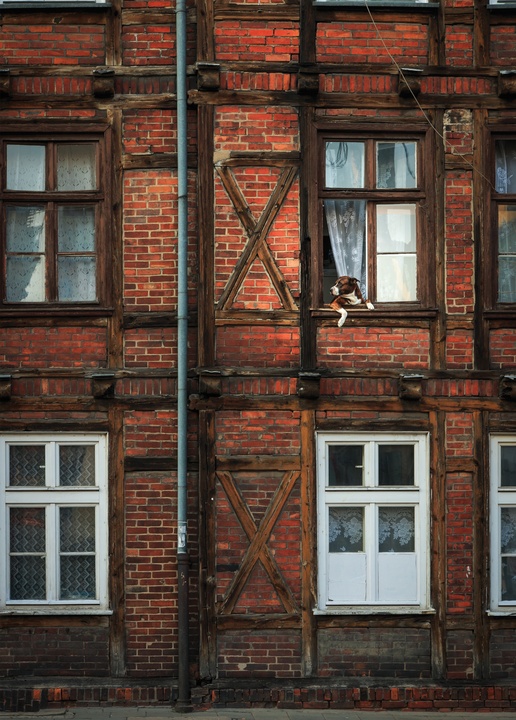 windows of jeżycka st. in poznań - picture 1