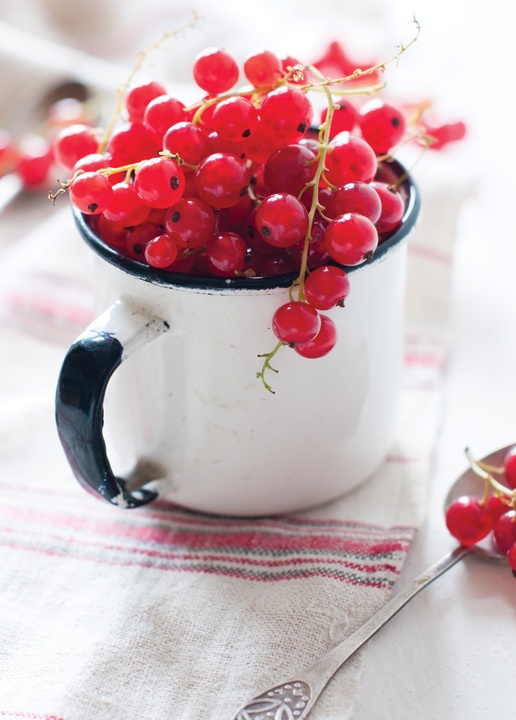 mug of red currants - picture 1