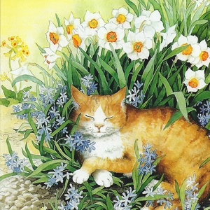 red cat and daffodils - picture 1