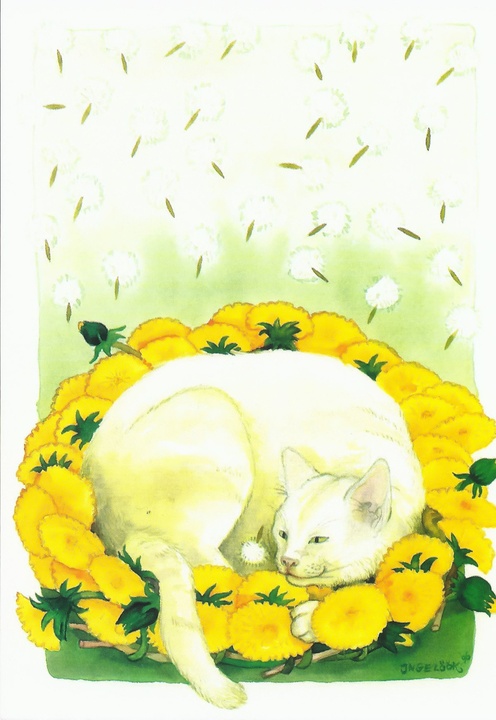 biały kot i mlecze - zdjęcie 1