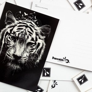 tygrys - zdjęcie 2