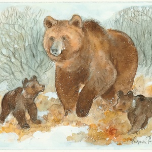 she-bear with cubs - picture 1