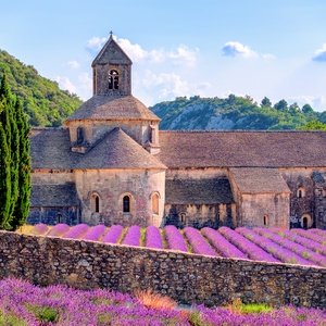 Postcard lavender fields at senanque monastery