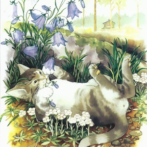 Collection garden - grey cat and bellflowers