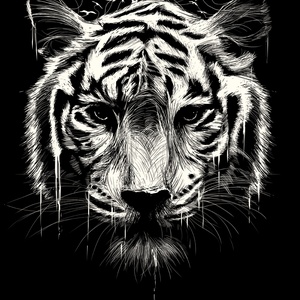 tygrys - zdjęcie 1