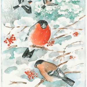 bullfinches - picture 1