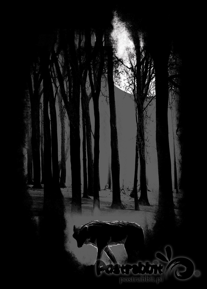 dark forest wolf