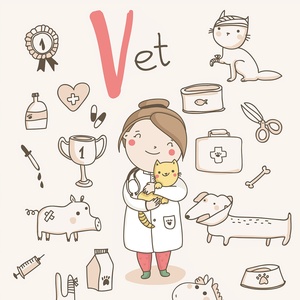 Collection cute alphabet profession - v - vet