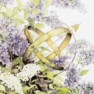 Collection garden - sundial among lilacs
