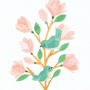 Postcard magnolia branch