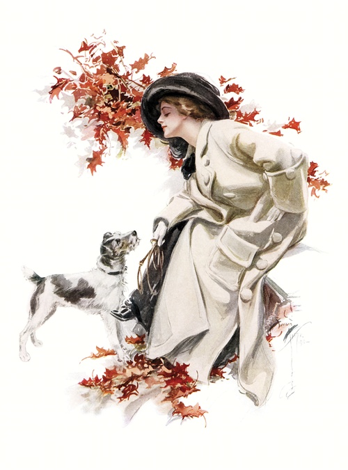 lady with a dog - picture 1
