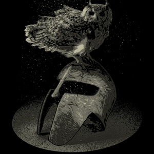 Pocztówka knight owl