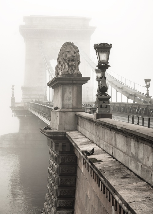 the széchenyi chain bridge in budapest - picture 1