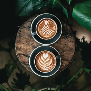 cappuccino wśród zieleni - zdjęcie 1