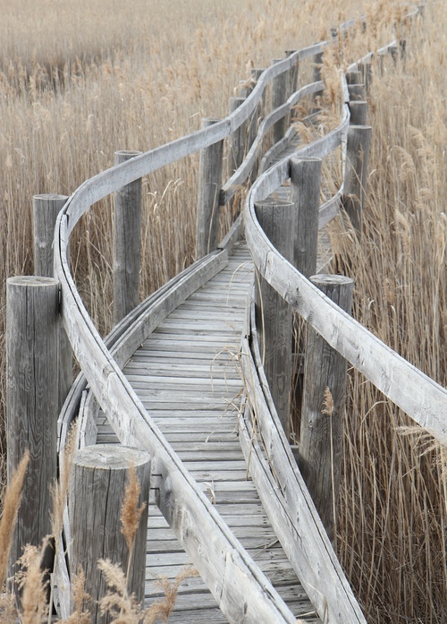 footbridge - picture 1
