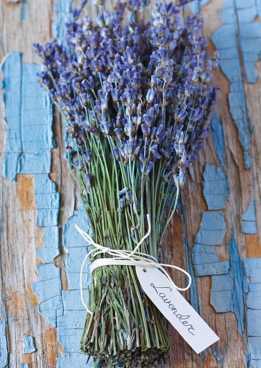 lavender bunch - picture 1