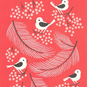 Postcard winter birds