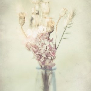 dried flowers - picture 1