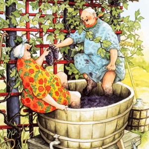 grape harvest - picture 1