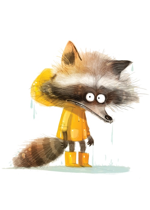 raccoon in yellow raincoat - picture 1
