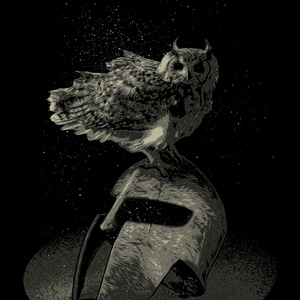 knight owl - zdjęcie 1
