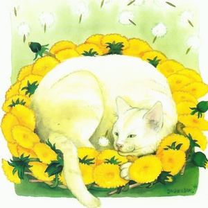 Postcard white cat among dandelions