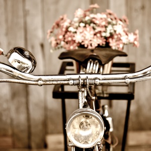 vintage bicycle - picture 1