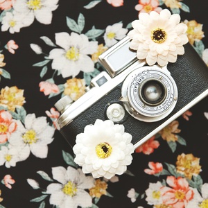 vintage camera and flowers - picture 1